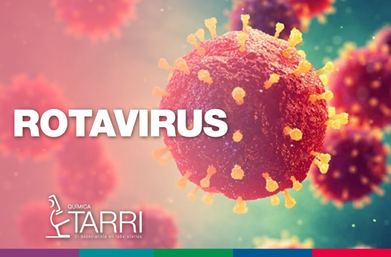 rotavirus